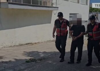 Kultivuan kanabis pranë banesës, arrestohen babë e bir në Tepelenë (Emrat)