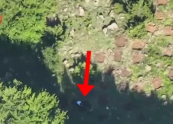 U kapën duke kultivuar 1800 fidanë kanabis, arrestohet 19-vjeçari dhe shapllet në kërkim një tjetër (Emrat)