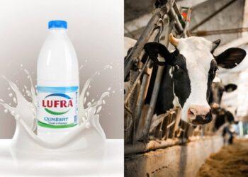 Mashtrimi/ Kompania “Lufra” reklamon lopën Lara, por s’ka fermë