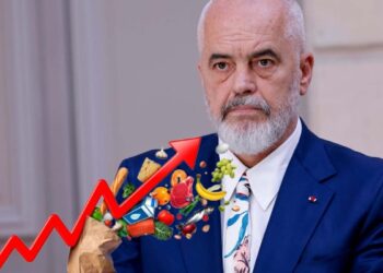 Paradoksi/ Një vend i varfër që paguan si i pasur