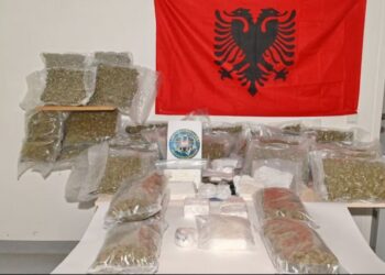 ‘La Familia’ godet bandën shqiptare të kokainës, drejtohej nga daja dhe nipi