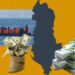 Banka e Shqipërisë: Emigrantët nuk po sjellin më para, ja faktorët që ndikojnë