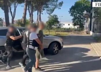 Kultivuan kanabis dhe posedonin armë zjarri, vihen në pranga dy vëllezërit në Fier (Emrat)