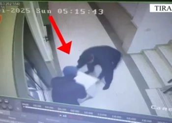 Vodhën kasafortën me 15 000 euro në një banesë, arrestohen dy hajdutët në Tiranë