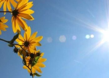 Merrni masat për tu freskuar, sot temperatura deri në 39 gradë