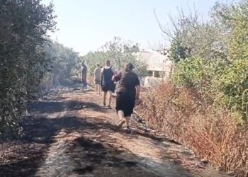 Karbunarë, zjarri shkrumbon dhjetëra dynymë agrume dhe ullishte