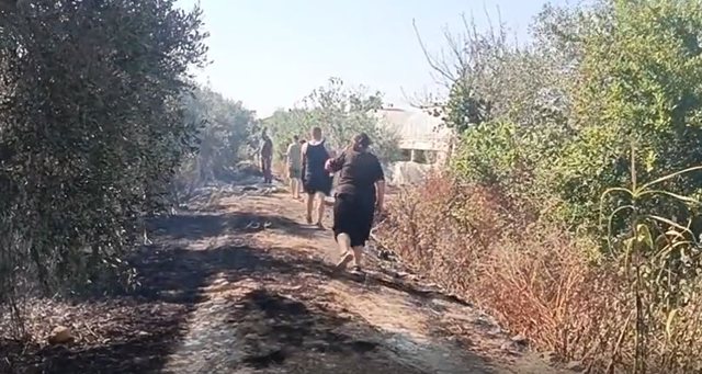 Karbunarë, zjarri shkrumbon dhjetëra dynymë agrume dhe ullishte