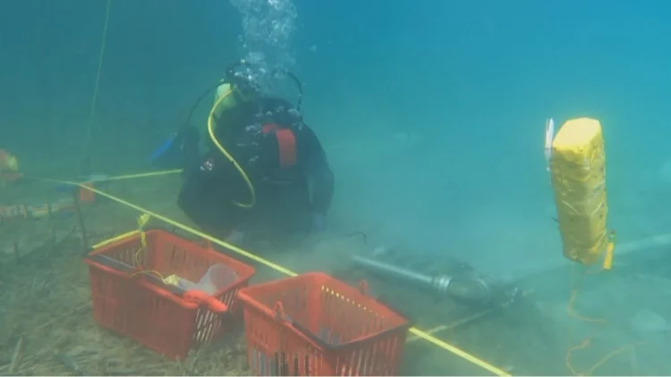 Lini në Pogradec konfirmohet si vendbanimi më i vjetër palafit në Europë