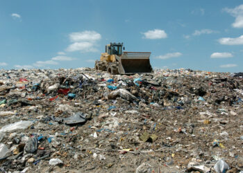 “Kodrat” me plehra në Sharrë, Teliti ngre alarmin: Rrezikon të shpërthejë epidemi