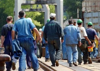 Alarm për tregun e punës, aftësitë e punonjësve shqiptare sa 37% e atyre në BE