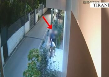 Zbardhen disa vjedhje në Tiranë, arrestohen dy persona (Emrat)