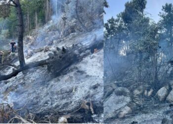 Bie zjarri në zonën e mbrojtur të Malit me Gropa, shkrumbohet pylli me pemë ahu