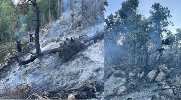 Bie zjarri në zonën e mbrojtur të Malit me Gropa, shkrumbohet pylli me pemë ahu