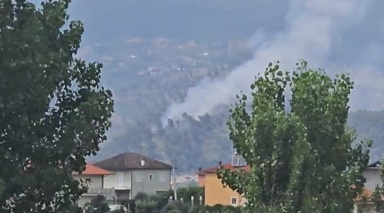 Zjarr në pyllin me pisha në Krastë