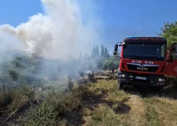 Zjarr në vendgrumbullimin e mbetjeve në Daullas të Fierit, flakët i afrohen varrezave të fshatit