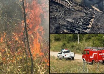 Zjarri shkrumbon 3 ha kullotë në Gjirokastër, rrezikohet një banesë