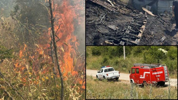 Zjarri shkrumbon 3 ha kullotë në Gjirokastër, rrezikohet një banesë