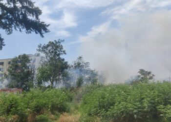 Zjarr në kryeqytet, përfshihet nga flakët një sipërfaqe me shkurre në Laprakë (Video)