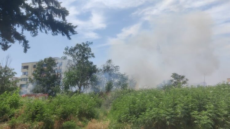 Zjarr në kryeqytet, përfshihet nga flakët një sipërfaqe me shkurre në Laprakë (Video)