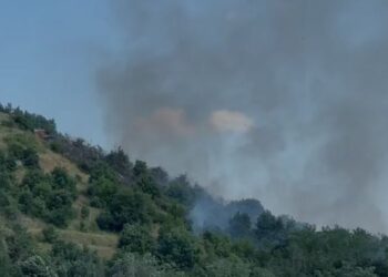 Përfshihet nga flakët mali në Maliq, rrezikon ish-reparti ushtarak i tankeve