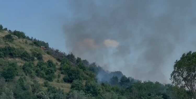 Përfshihet nga flakët mali në Maliq, rrezikon ish-reparti ushtarak i tankeve