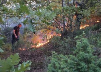 Përfshihet nga një zjarr masiv zona pyjore në Malaj të Mirditës