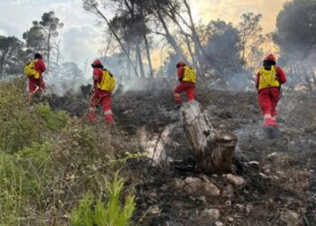 Situata e zjarreve gjatë orëve të fundit, raportohet për 9 vatra aktive