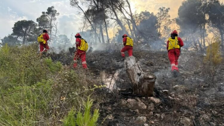 Situata e zjarreve gjatë orëve të fundit, raportohet për 9 vatra aktive