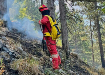 Vendi po digjet, 58 vatra zjarri në 24 orët e fundit, Tirana dhe Fieri zonat më të prekura