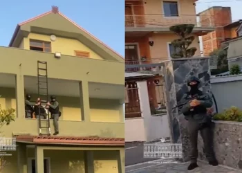 SPAK me 7 masa sigurie për trafik kokaine, mes tyre Plarent Dervishaj dhe Erjon Alibej