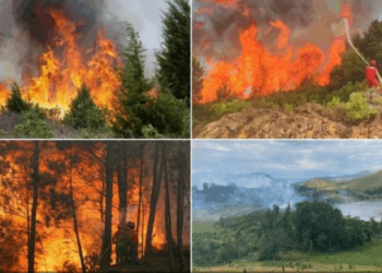 Vazhdon zjarri tek Liqenet e Lurës, 150 ha të djegura! Shuhet vatra e fundit në Drenovë