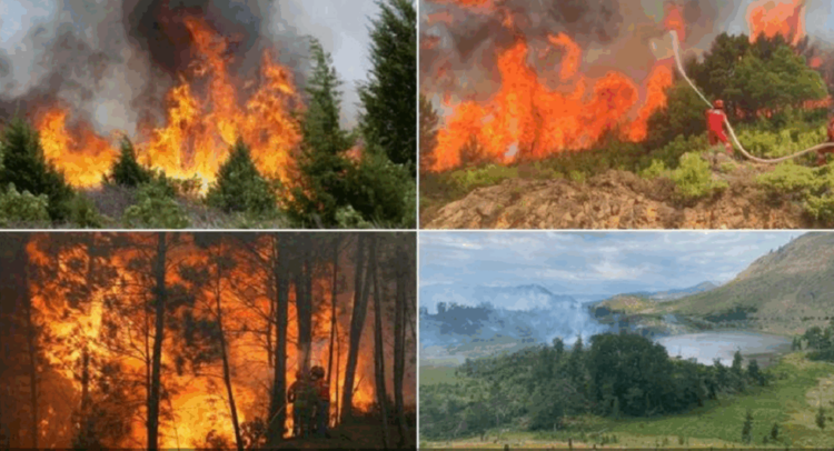 Vazhdon zjarri tek Liqenet e Lurës, 150 ha të djegura! Shuhet vatra e fundit në Drenovë