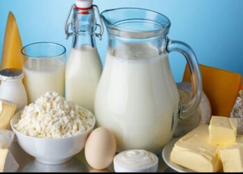 Të hënën aksioni i ri i Ramës, sekuestro bulmetit pa faturë tatimore