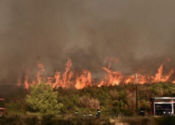 Vazhdon zjarri tek Liqenet e Lurës, Emergjencat Civile: Kemi 4 vatra aktive në qarqe