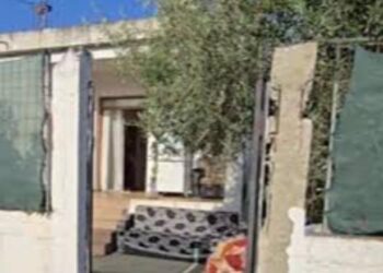 Ngjarja në Fier/ Pas vrasjes, e dëmtuan edhe në pjesët intime, bashkëpunëtore e ëma e 26-vjeçares