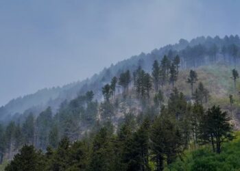 Zjarret përhapen edhe në Kosovë, raportohen 29 vatra të reja në 8 orët e fundit