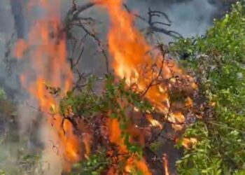 Situatë alarmante me zjarret, Drenova dhe Lura nën flakë, dyfishohet numri vatrave aktive
