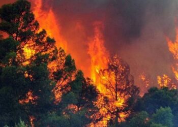 Zjarri në Delvinë kalon në Borsh, aktive edhe vatra në malin e Dukatit!