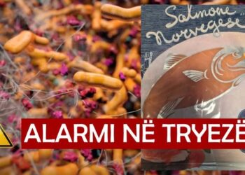 Salmon i infektuar nga Serbia në supermarketet shqiptare, AKU hesht