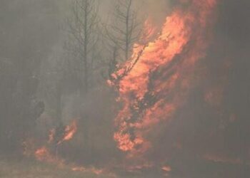 Zjarri në Finiq aktiv prej 5 ditësh, pritet mbërritja e avionit zjarrfikës nga Greqia