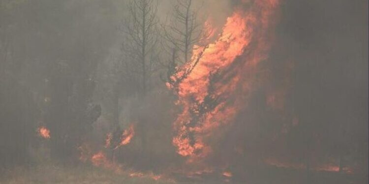 Zjarri në Finiq aktiv prej 5 ditësh, pritet mbërritja e avionit zjarrfikës nga Greqia