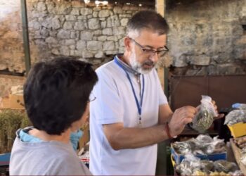 VIDEO/ Saranda në alarm: Rigoni i malit dhe peshku i detit në lupën e inspektor Muçit
