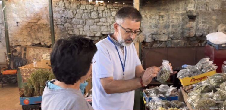 VIDEO/ Saranda në alarm: Rigoni i malit dhe peshku i detit në lupën e inspektor Muçit