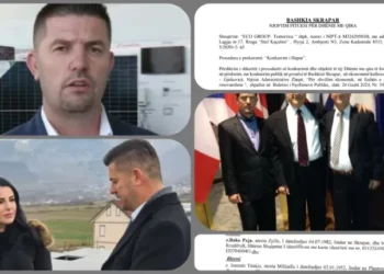 Rako Paja, “ministri” i vetëshpallur i Ballukut për energjinë diellore, që pastron para me Tano Karidin grek