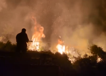 Përfshihet nga flakët pylli me pisha në Finiq