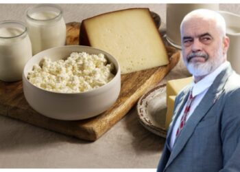 Blegtoria drejt greminës! Çmimet e bulmetit në Shqipëri janë ndër më të shtrenjtat në Europë