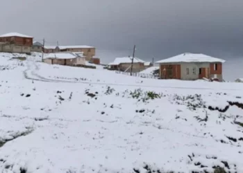 ‘Çmendet’ moti në Turqi! Reshje të dendura dëbore në verilindje, zjarre në perëndim