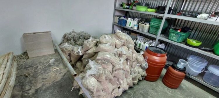 Zbulohet rrjeti i trafikimit të kokainës në Greqi, arrestohen edhe 3 shqiptarë