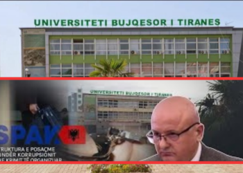 Piro Zoga mori 900 MLN lekë tendera me falsifikime, SPAK e çon në gjyq bashkë me 27 pedagogët e UBT që firmosnin