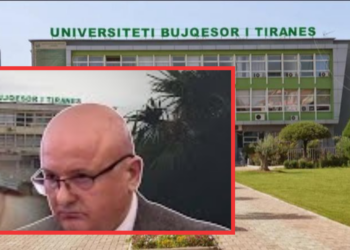 Përgjimet/ Ja si u favorizua “Krijon shpk” për tenderat në UBT, bisedat e Piro Zogës me rektorin dhe pedagogët